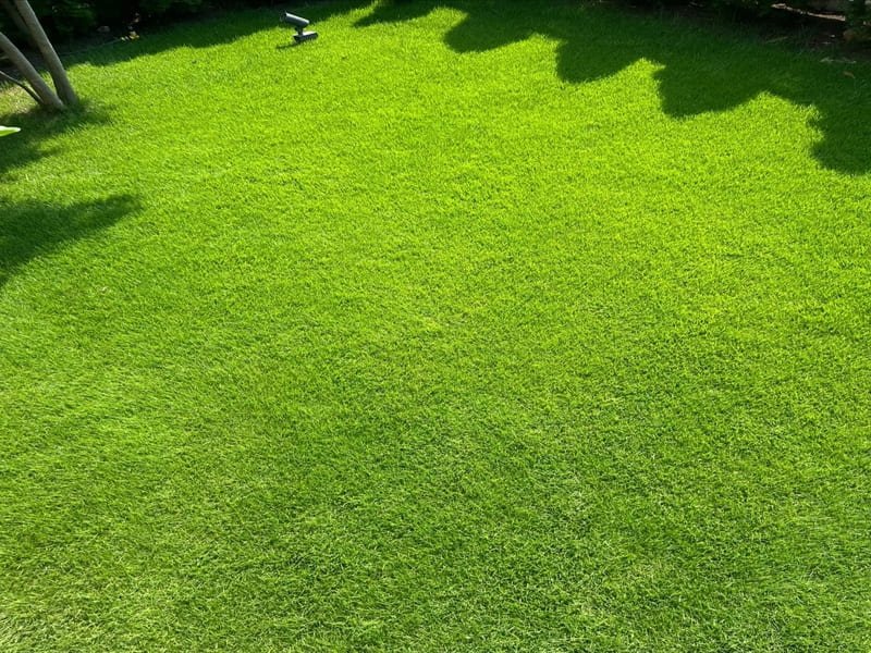 Gymgras wordt netjes opgerold na een tijdelijke gebeurtenis, een optie die alleen mogelijk is met tape.